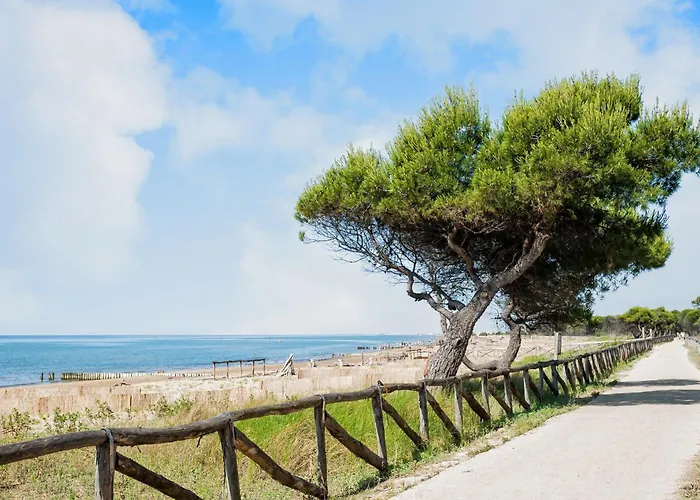 Appartement Coastal With Terrace